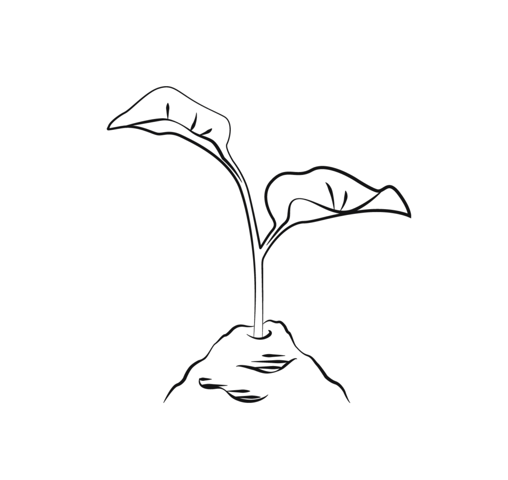 plant-icon