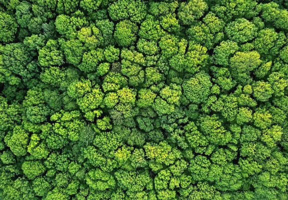 MANRAGS UPlifting journey to  UPPAREL