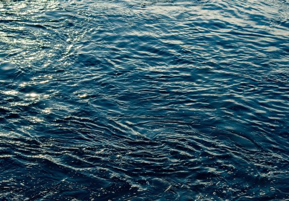 Fighting Through Covid-19 to Become Sustainability Champions of the Year