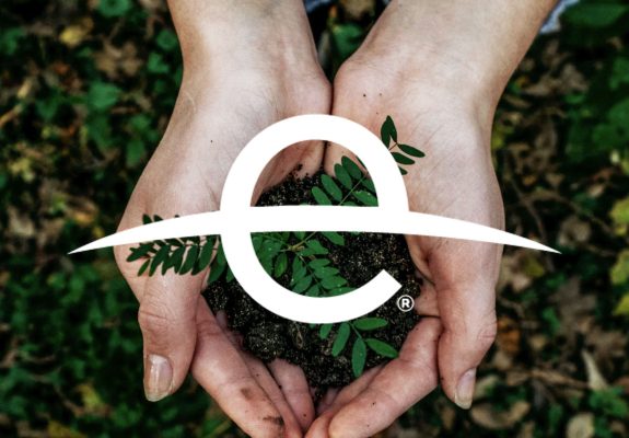 The Global Earth Day Movement